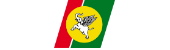 Yangon Airways