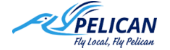 FlyPelican
