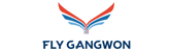Fly Gangwon
