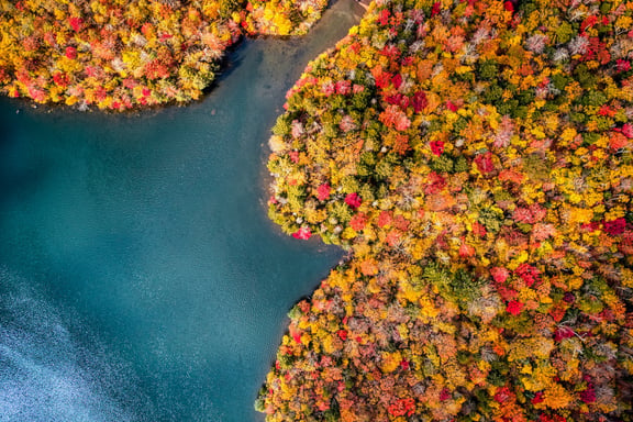 Thanksgiving destinations