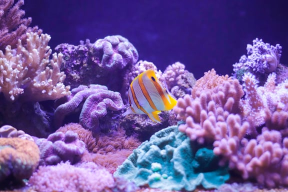 10 Destinations exaltantes pour les sports nautiques