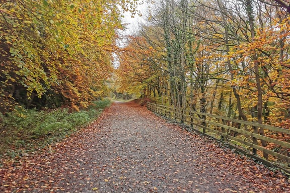 Discover the Best Places to Visit in Peak District - Monsal trail