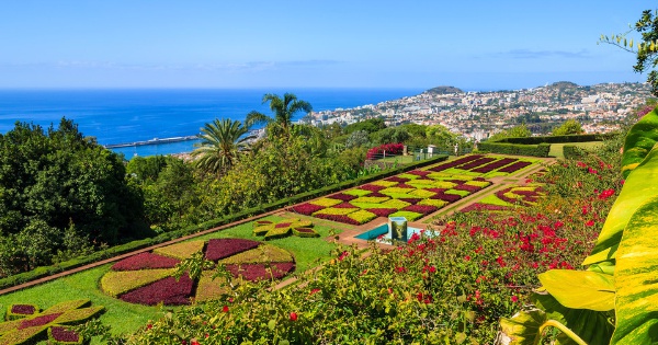 Voli da Paphos - International per Funchal - Madeira