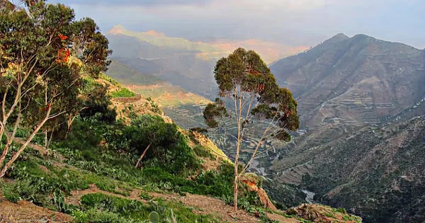 Flights from Rotterdam to Asmara