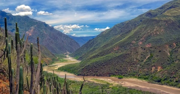 Vuelos de Monterrey - General Mariano Escobedo a Bucaramanga - Palo Negro
