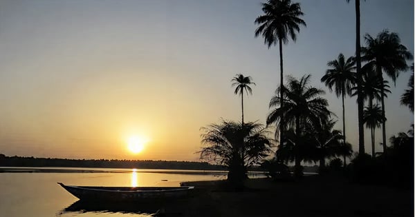 Vols Kampala - Conakry
