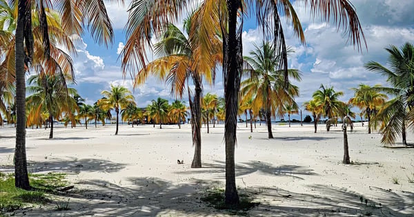 Vuelos a Cayo Largo del Sur