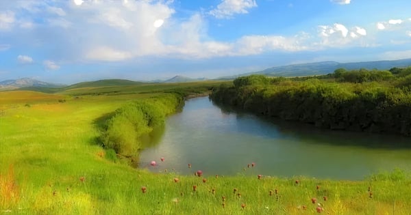 Vuelos de Erzurum