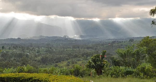 Flights from Bologna - G. Marconi to Kinshasa -  N'Djili