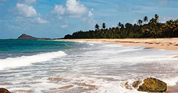 Flights from Pasco - Tri-Cities to Grenada - Saint George's