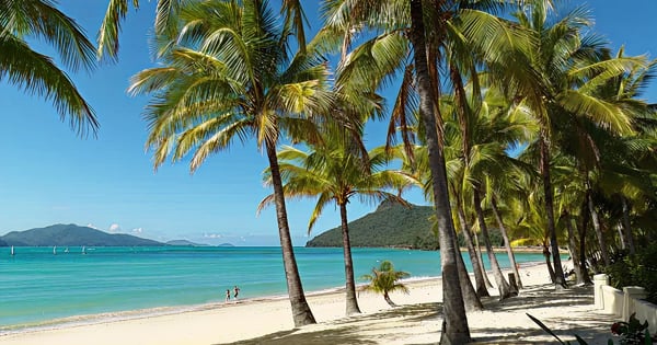 Flights from Adelaide to Hamilton Island