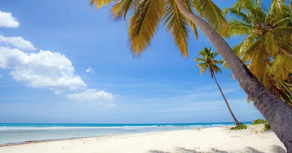 Vuelos de Osaka - Kansai a Santo Domingo - La Isabela