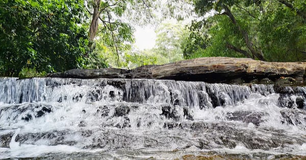Voli per Managua