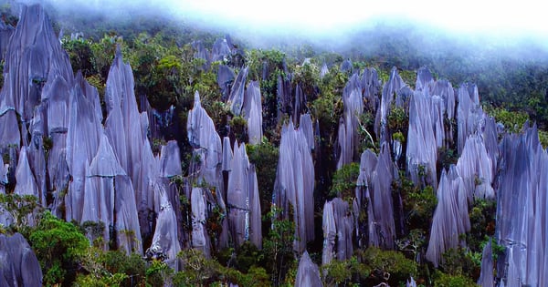 Fly til Mulu