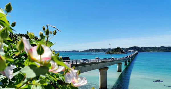 Flyg Okinawa