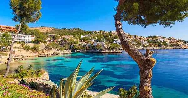 Flights from Oradea to Palma de Mallorca