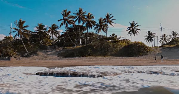 Voli da Orlando - International per Puerto Plata - Gregorio Luperón International