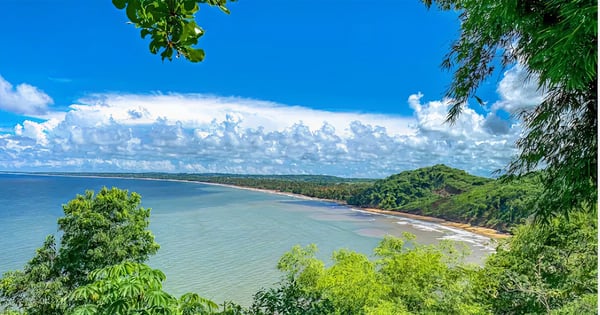 Flights from Dubai - International to Port of Spain - Piarco