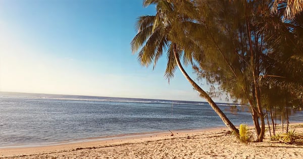 Flüge nach Rarotonga