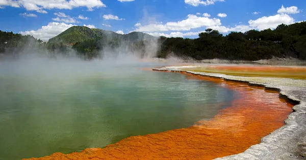 Flights to Rotorua