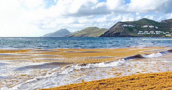 Flights from Paris - Charles de Gaulle to Saint Kitts - Robert L. Bradshaw