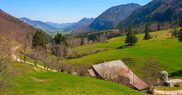 Altenrhein