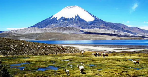 Arequipa