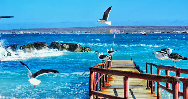 La Serena