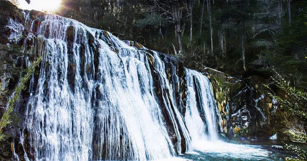 Neuquen