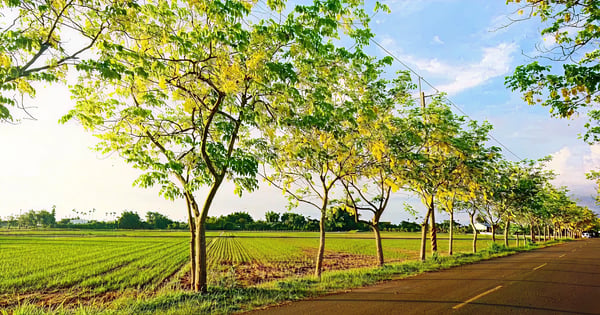 Tainan