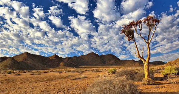 Upington
