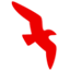 Air Arabia Maroc