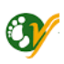 Yeti Airlines