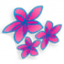 Air Rarotonga