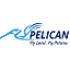 FlyPelican