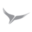 Arik Air