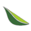 Key Lime Air