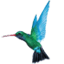 Caribbean Airlines