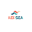 Red Sea Airlines